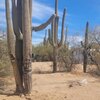Photo of Mobile Home Lot