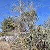 Photo of Mobile Home Lot