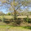 Mobile Home for Sale: 3 Bed 2 Bath 1994 Mobile Home