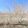 Mobile Home for Sale: 3 Bed 2 Bath 1987 Mobile Home