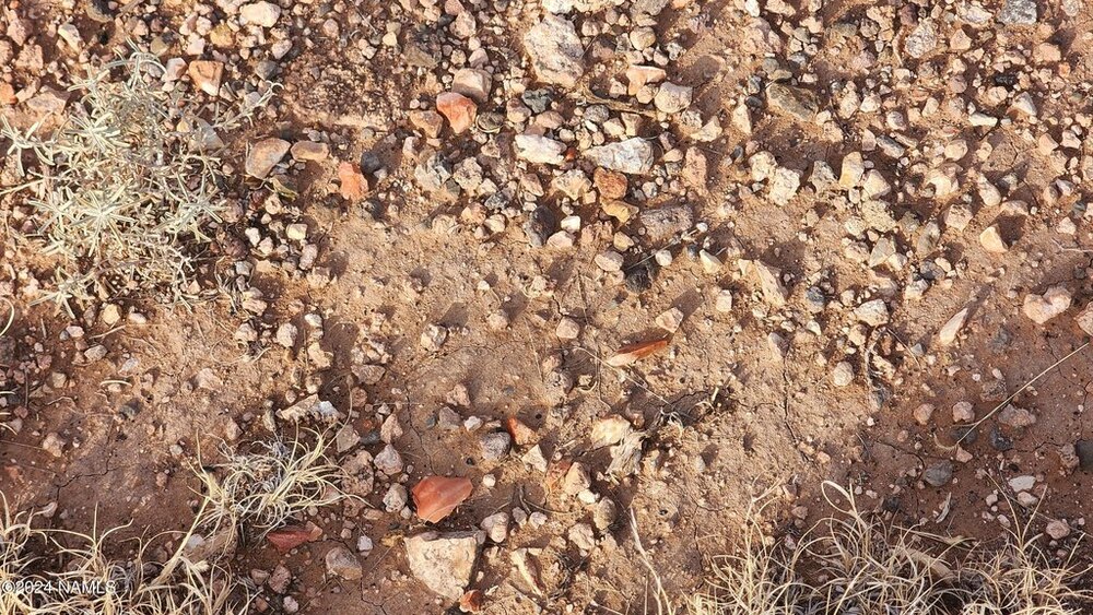 Photo of Mobile Home Lot