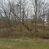 Mobile Home for Sale: 1999 Mobile Home