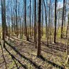 Photo of Mobile Home Lot