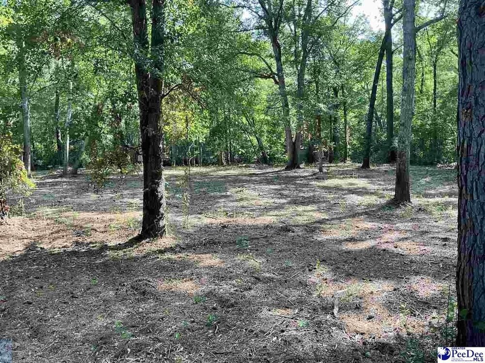 Photo of Mobile Home Lot