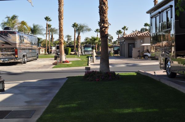 View from Front Window