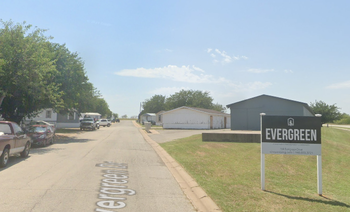 Photo of Evergreen