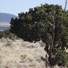 Photo of Mobile Home Lot