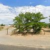 Mobile Home for Sale: 1976 Mobile Home