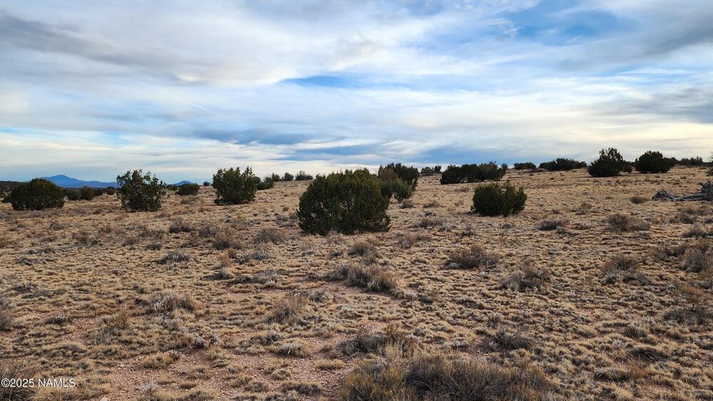 Photo of Mobile Home Lot