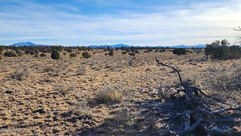 Photo of Mobile Home Lot