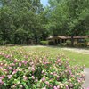 Mobile Home for Sale: Ranch, Manufactured Home - North Augusta, SC, North Augusta, SC