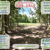 RV Lot for Sale: Lot 168 – 8.3 Acres of Prime Hardwood Forest on Private Road – Priced to Sell!, Linden, TN