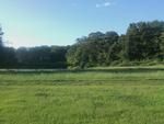 Photo of Mobile Home Lot