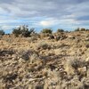 Photo of Mobile Home Lot