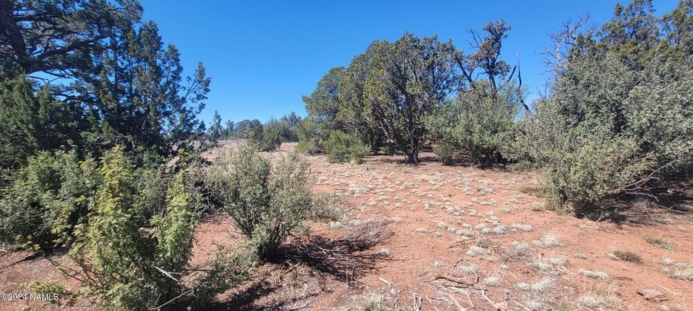 Photo of Mobile Home Lot