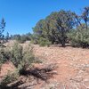 Photo of Mobile Home Lot