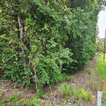 Photo of Mobile Home Lot