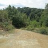 Photo of Mobile Home Lot