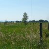Photo of Mobile Home Lot
