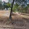 Mobile Home for Sale: 3 Bed 2 Bath 2004 Mobile Home