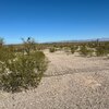 Photo of Mobile Home Lot