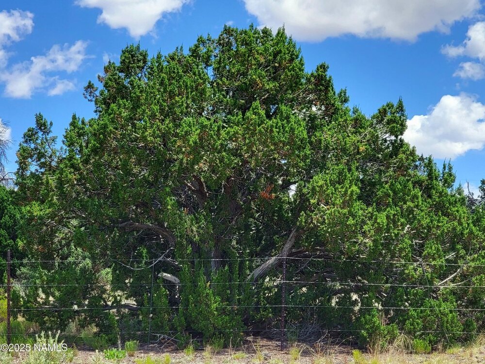 Photo of Mobile Home Lot