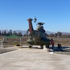 CC-AOO-5.jpg