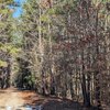 Photo of Mobile Home Lot