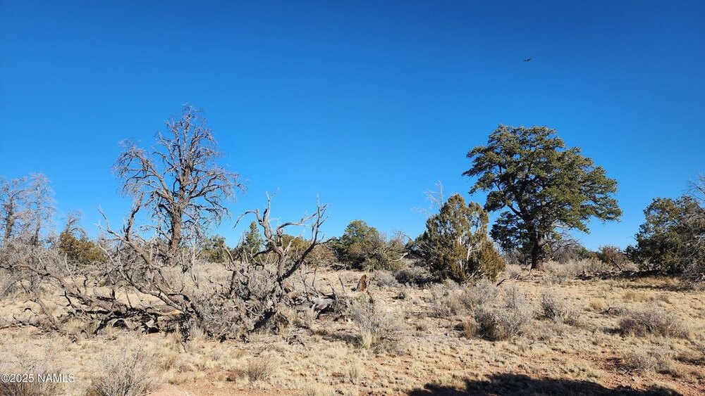 Photo of Mobile Home Lot