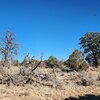 Photo of Mobile Home Lot