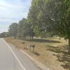 Mobile Home for Sale: 3 Bed 2 Bath 2018 Mobile Home