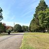 Mobile Home for Sale: 3 Bed 2 Bath 1991 Mobile Home