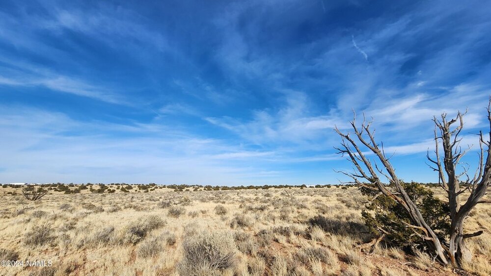 Photo of Mobile Home Lot
