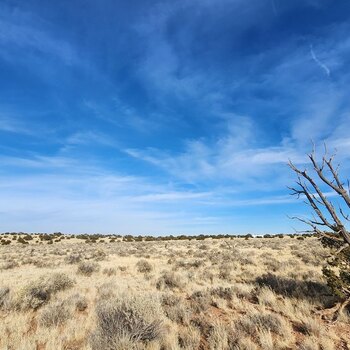 Thumbnail of mobile home lot