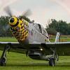 Aircraft for Sale: Titan T-51D Mustang