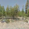 Mobile Home for Sale: 3 Bed 2 Bath 2000 Mobile Home