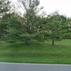 Mobile Home for Sale: 3 Bed 2 Bath 2002 Mobile Home