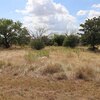 Mobile Home for Sale: Mobile Home - Brownwood, TX, Brownwood, TX