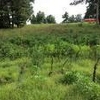 Mobile Home Lot for Sale: AR, PLEASANT PLAINS - Land for sale., Pleasant Plains, AR