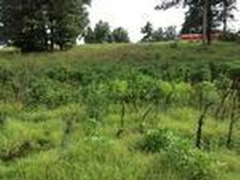 Photo of Mobile Home Lot