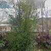 Mobile Home for Sale: 1982 Mobile Home