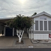 Mobile Home for Sale: 1 Bed 1 Bath 1992 Oak P