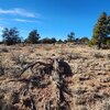 Photo of Mobile Home Lot