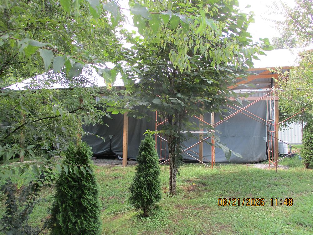 Photo 8