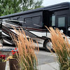 RV for Sale: 2016 ALLEGRO BUS 40 AP