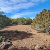 Photo of Mobile Home Lot