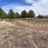 Photo of Mobile Home Lot