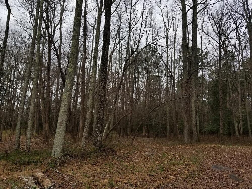 Photo of Mobile Home Lot