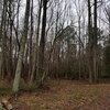 Photo of Mobile Home Lot