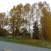 Photo of Mobile Home Lot